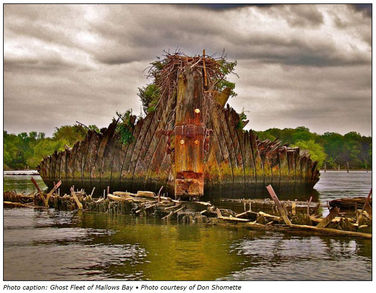 The Ghost Fleet of Mallows Bay