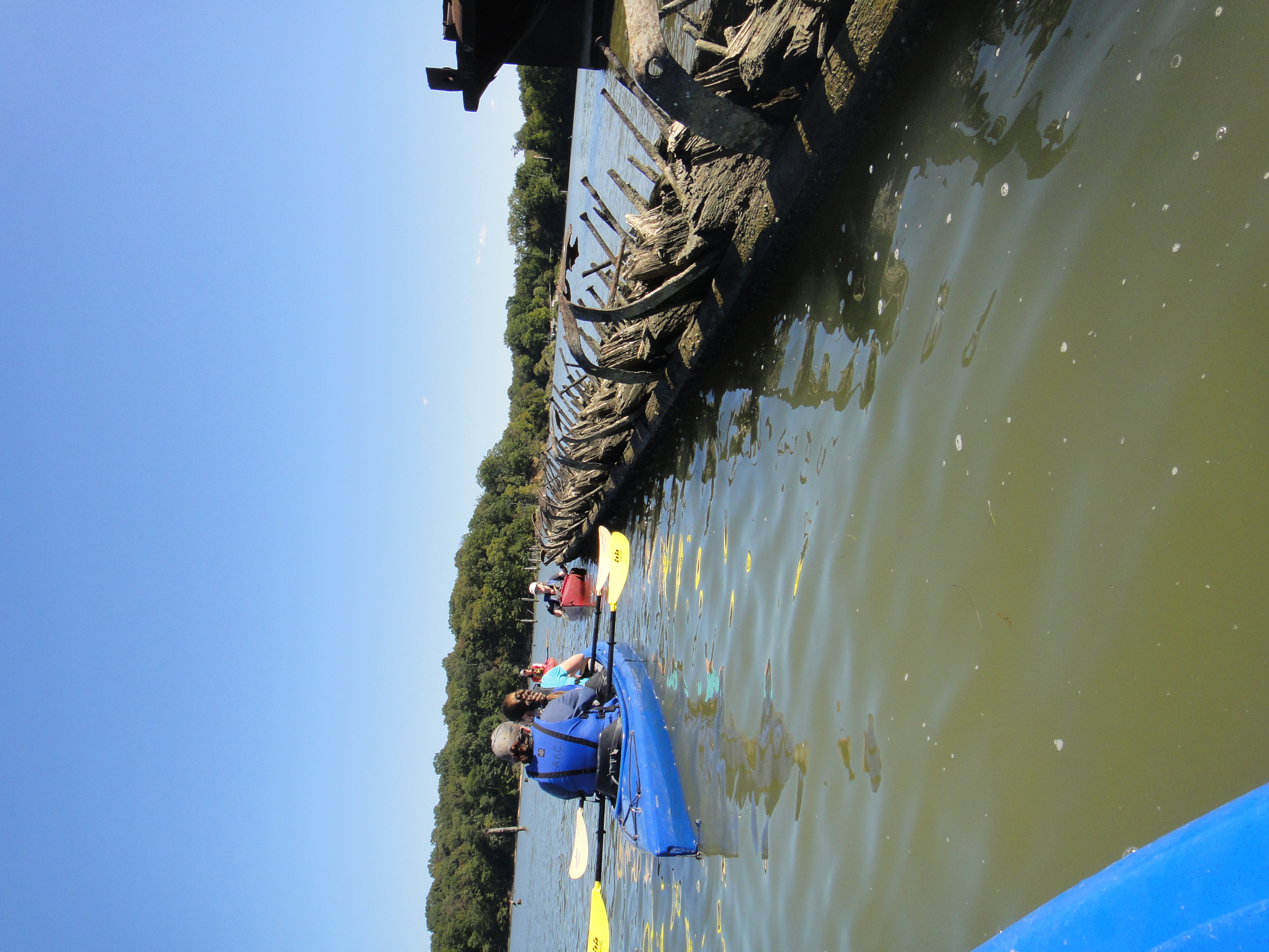 CfMA members examine exposed ship "skeleton" at Mallows Bay